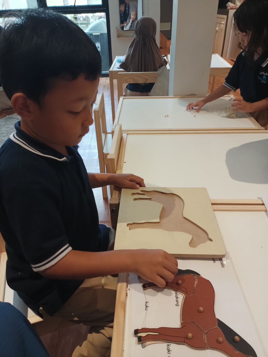 Little Home Montessori